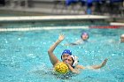 WWPolo vs CC  Wheaton College Women’s Water Polo compete in their sports inaugural match vs Connecticut College. - Photo By: KEITH NORDSTROM : Wheaton, water polo, inaugural